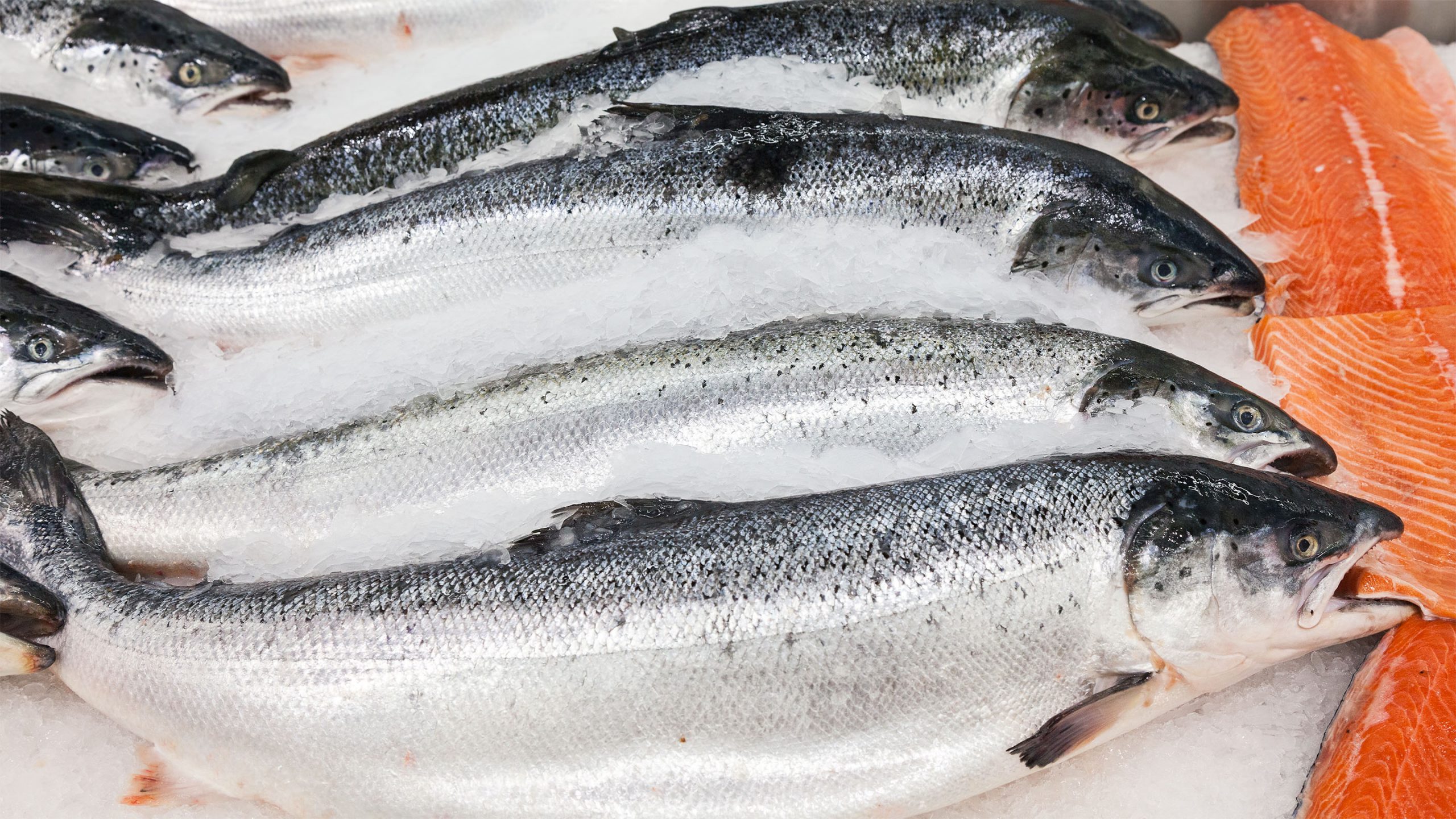 Salmon oil pricing and EPA/DHA content E.F.S.Holland