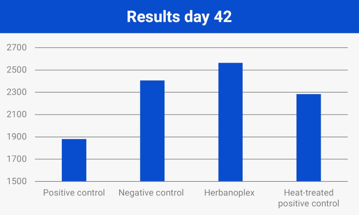 Results day 42